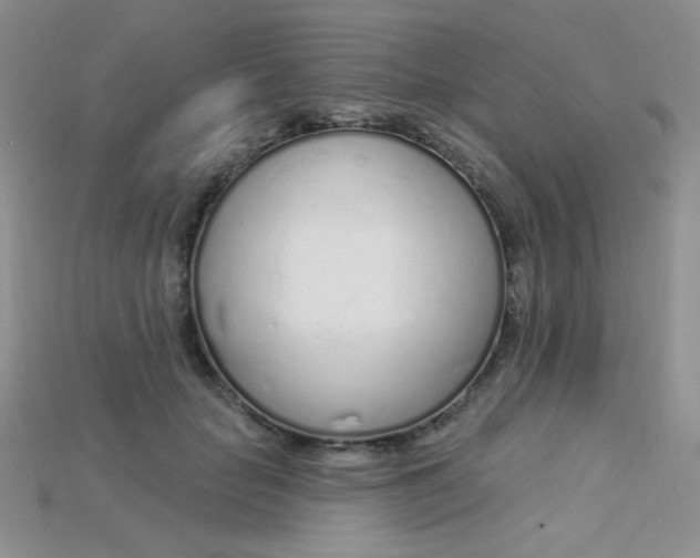 X0000115220653200911121925