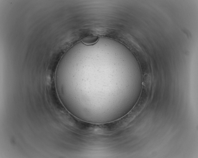 X0000115220655200911121925