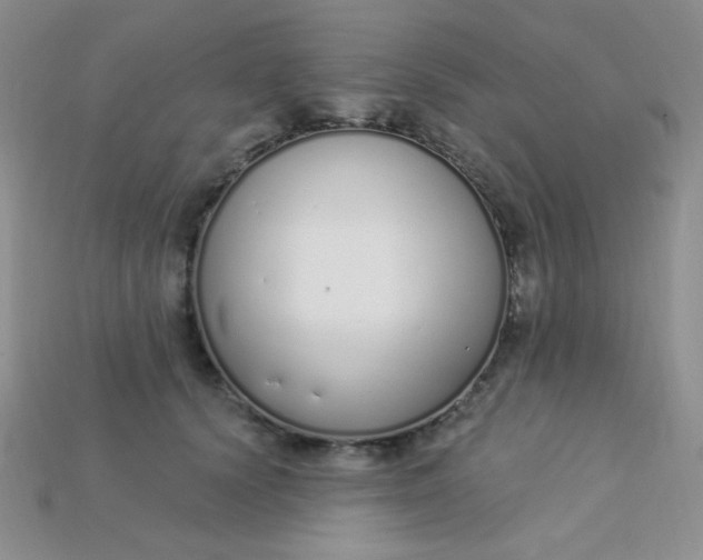 X0000115220656200911121925