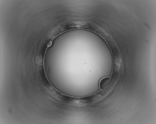 X0000115220657200911121925