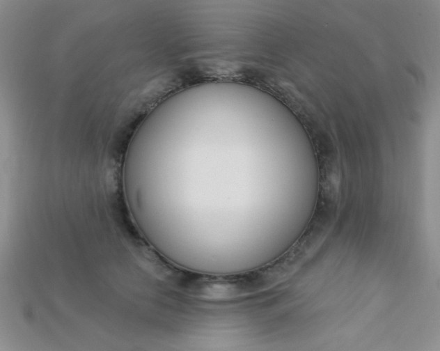 X0000115220658200911121925