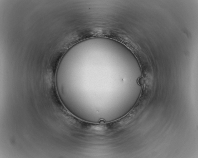 X0000115220659200911121925