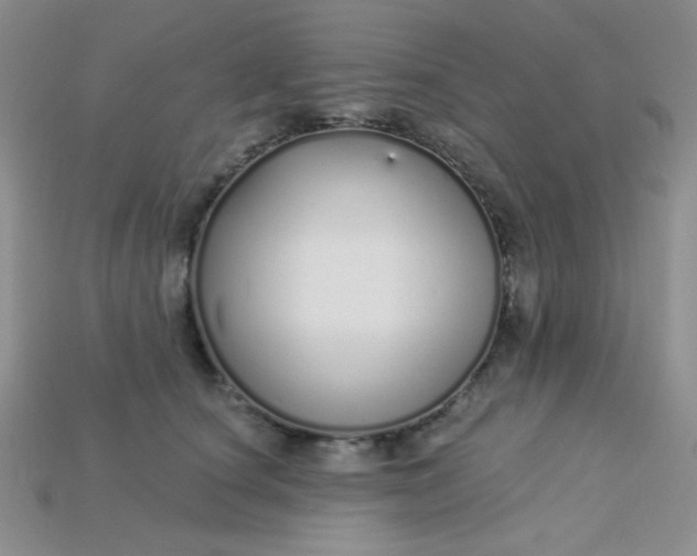 X0000115220660200911121925