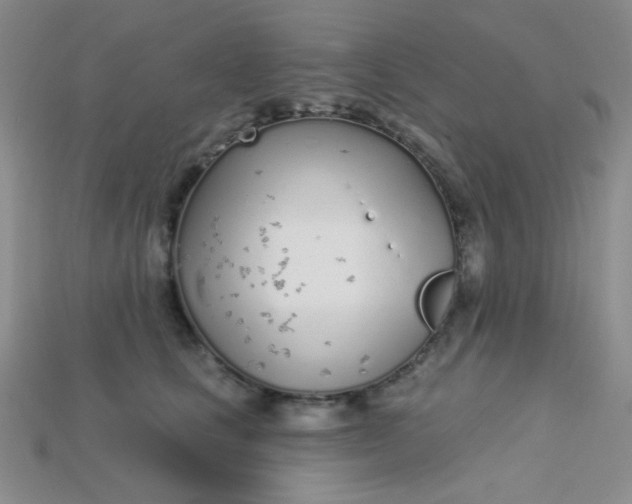 X0000115220661200911121925