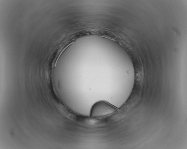 X0000115220662200911121926