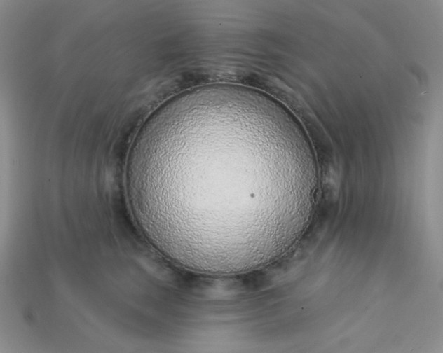 X0000115220663200911121926