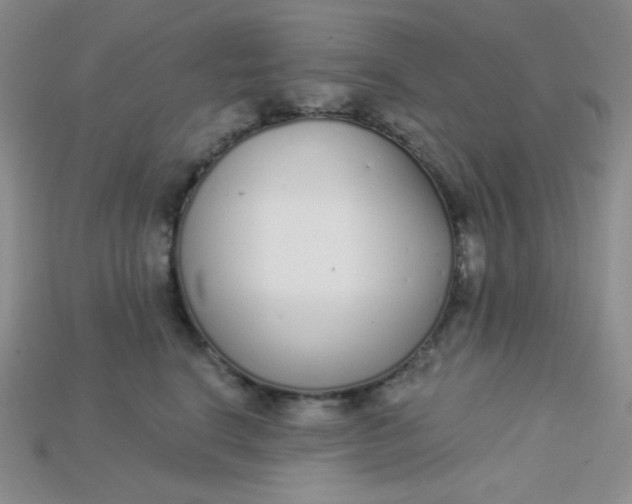 X0000115220664200911121926