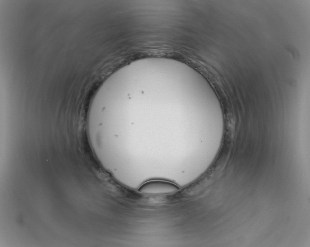 X0000115220665200911121926