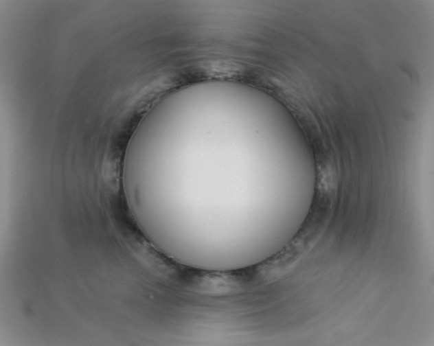 X0000115220666200911121926