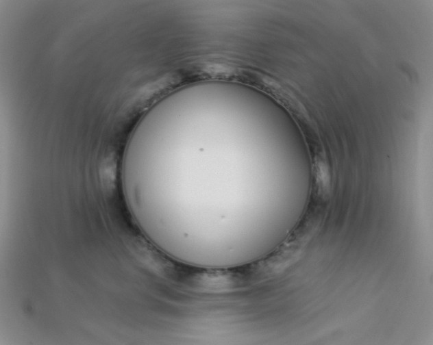 X0000115220668200911121926