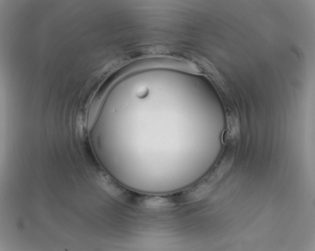 X0000115220669200911121926