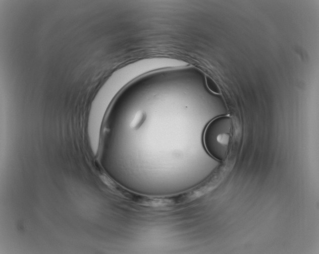 X0000115220670200911121926