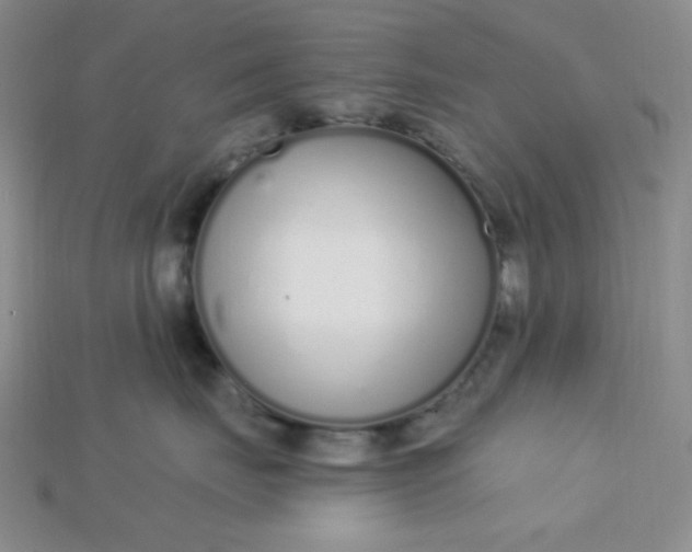 X0000115220671200911121926
