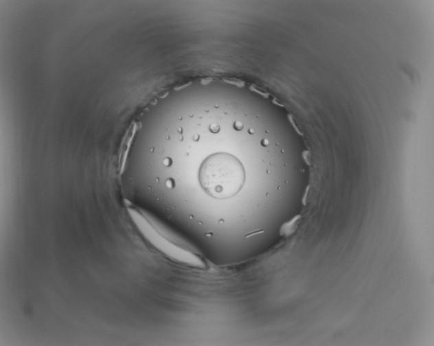 X0000115220672200911121926