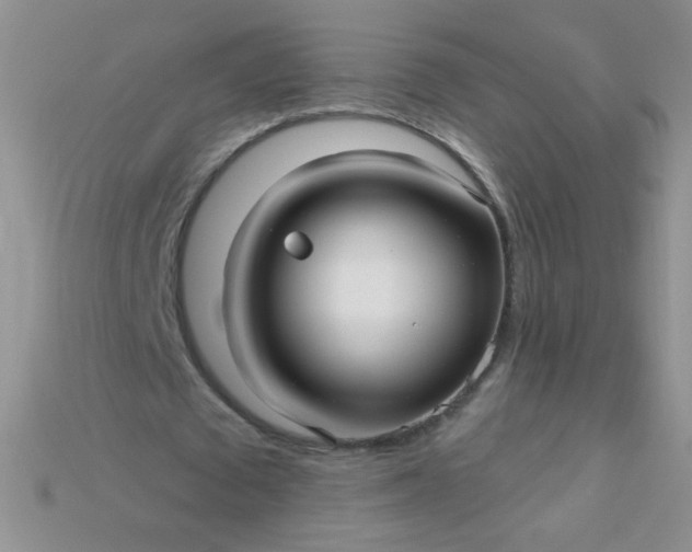X0000115220673200911121925