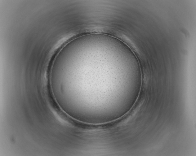 X0000115220674200911121925