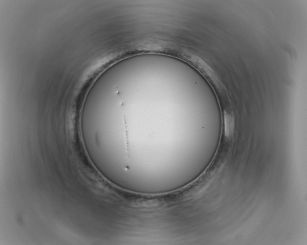 X0000115220675200911121925