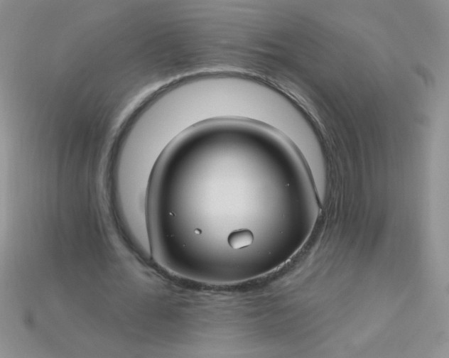 X0000115220676200911121925