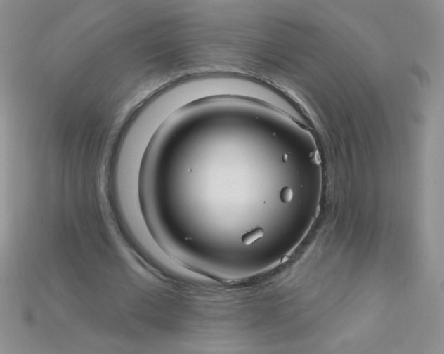 X0000115220677200911121925