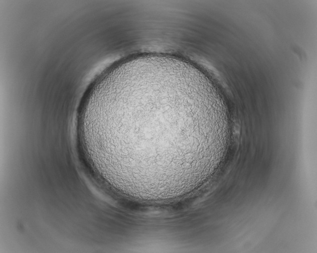 X0000115220678200911121925