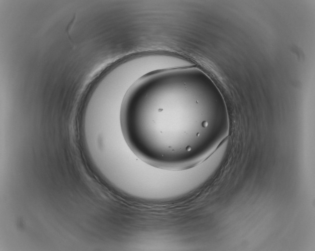 X0000115220680200911121925