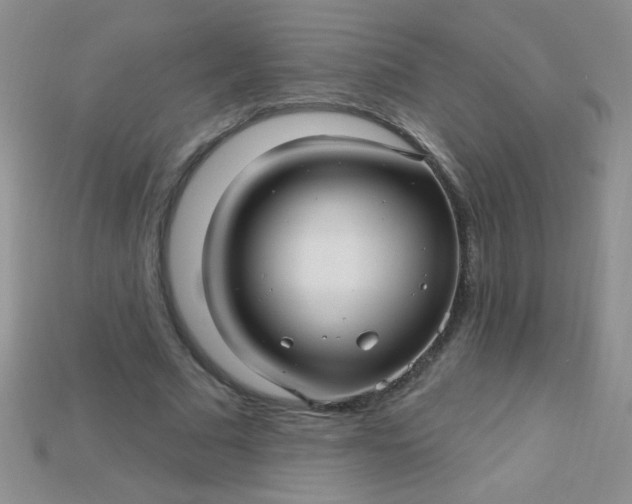 X0000115220681200911121925