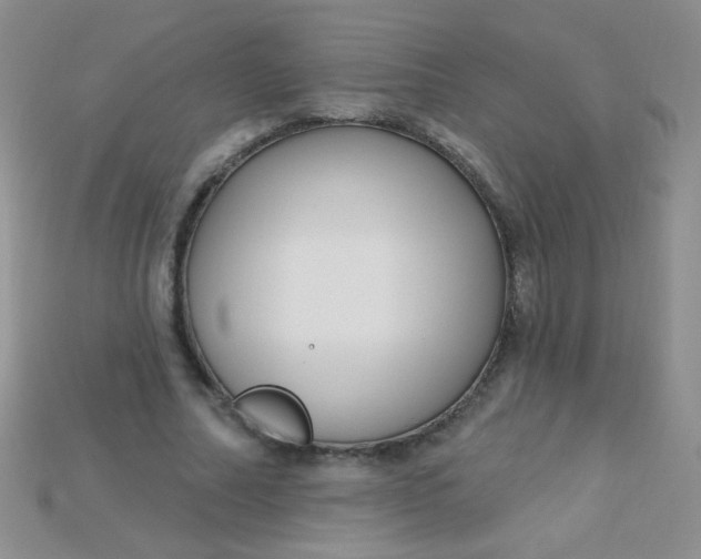 X0000115220682200911121925