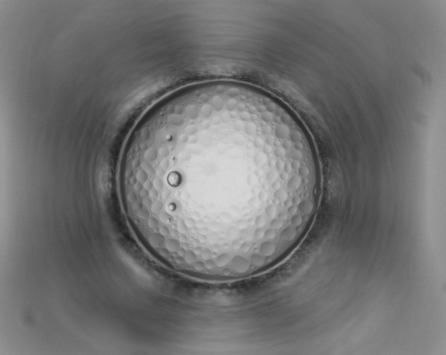 X0000115220683200911121925