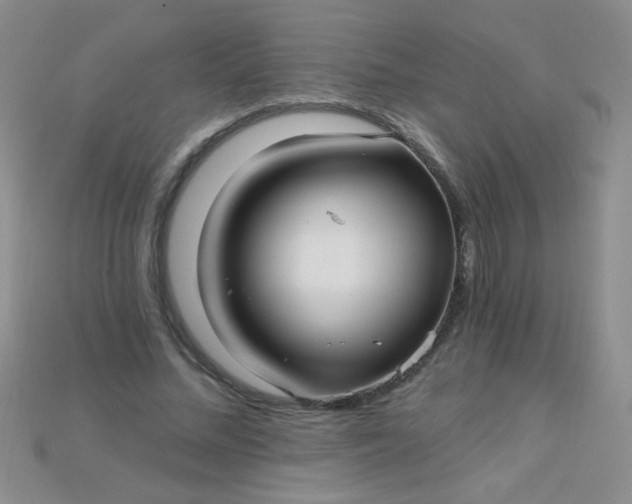 X0000115220684200911121925