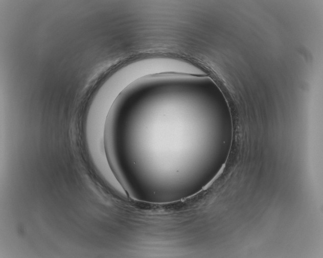 X0000115220688200911121925