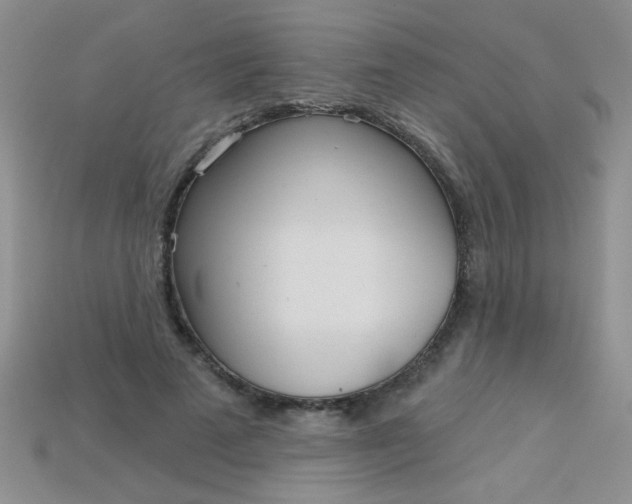 X0000115220689200911121925