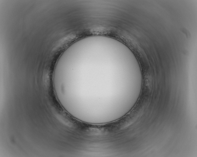 X0000115220690200911121925