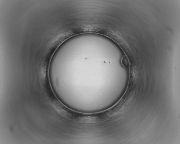 X0000115220691200911121925