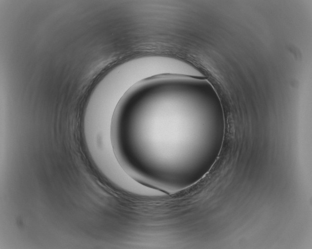 X0000115220692200911121925