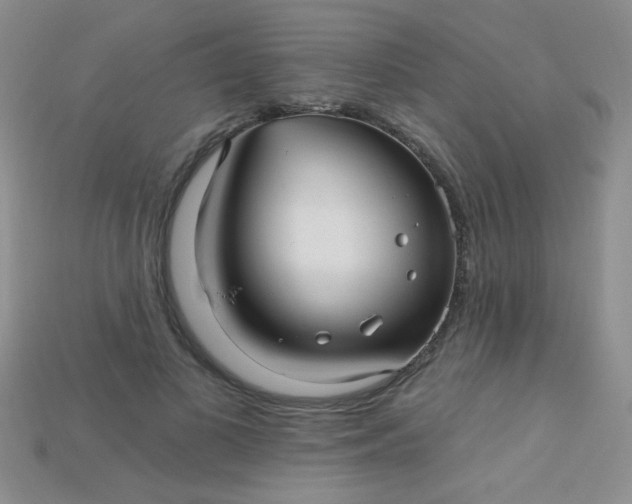 X0000115220693200911121925