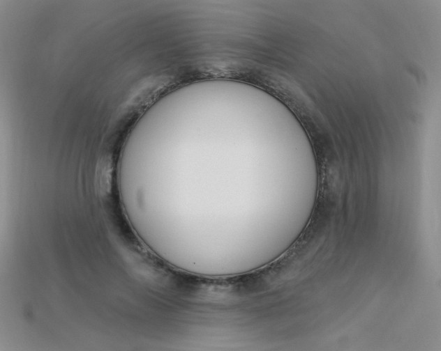 X0000115220694200911121925
