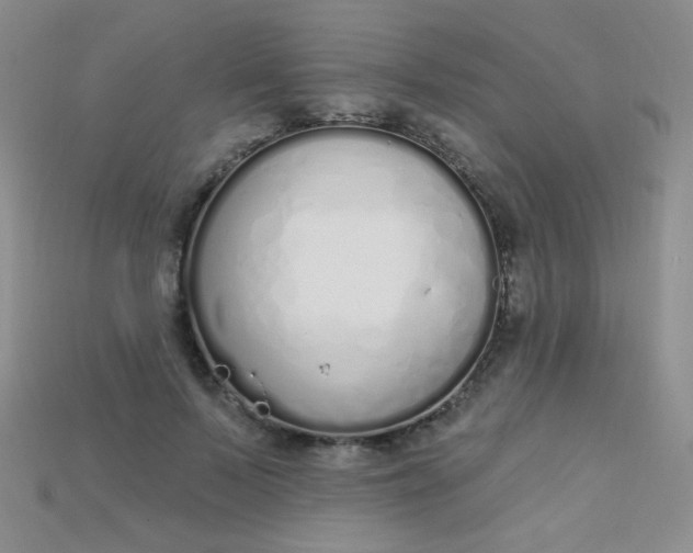X0000115220695200911121925