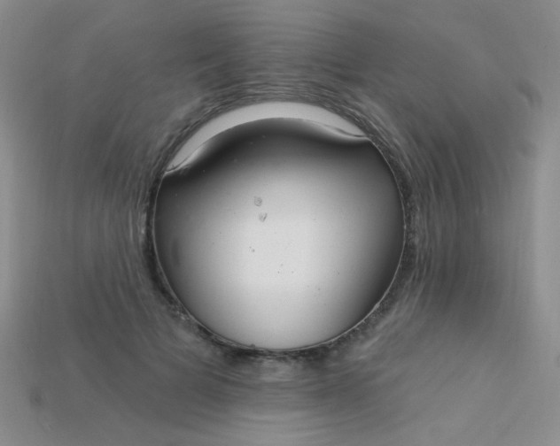 X0000115220697200911121925