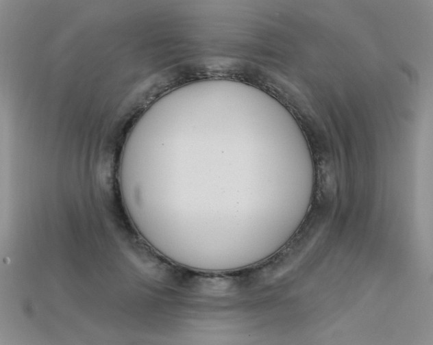 X0000115220698200911121925
