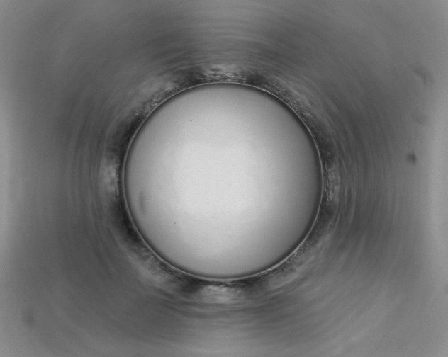 X0000115220699200911121925