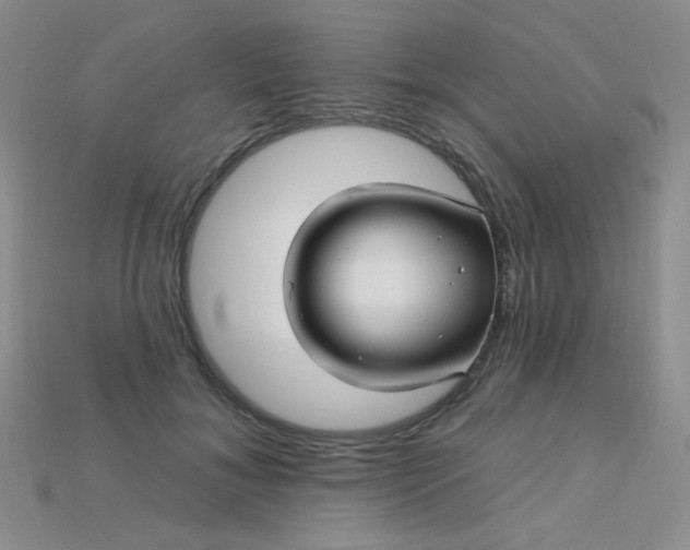 X0000115220700200911121925
