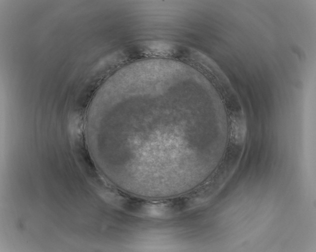 X0000115220701200911121925