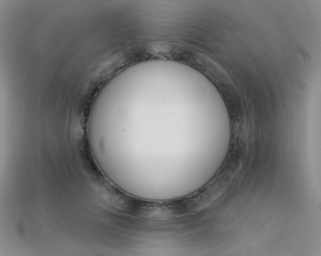 X0000115220702200911121925