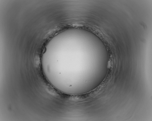 X0000115220704200911121925