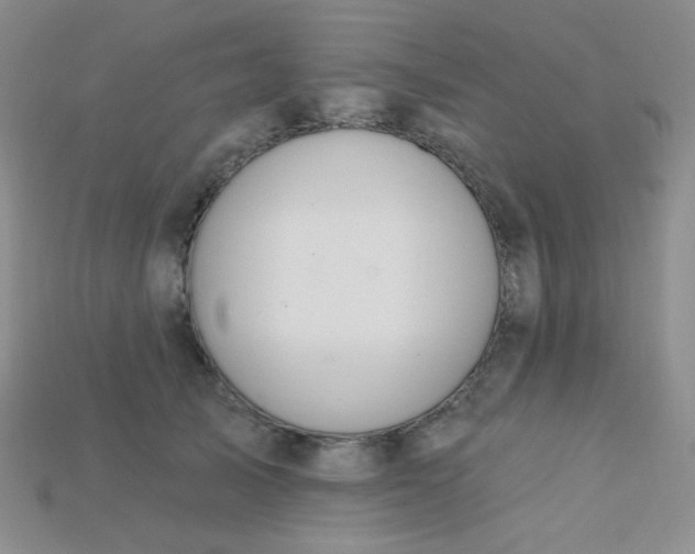 X0000115220705200911121925