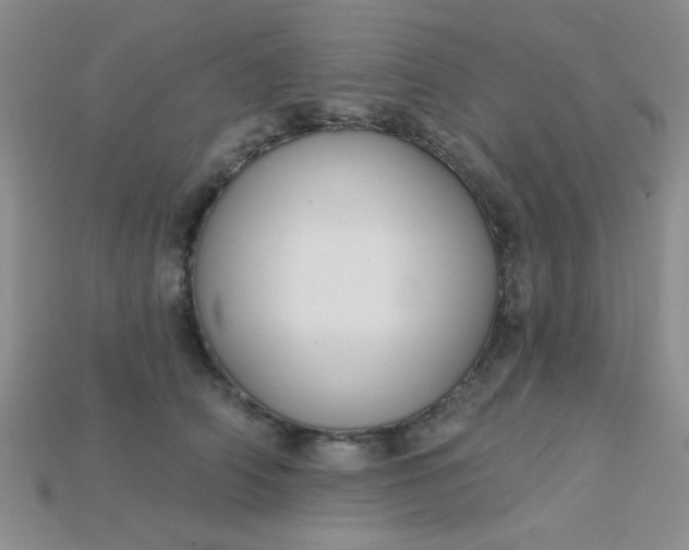 X0000115220706200911121925