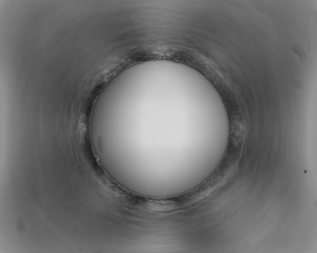 X0000115220707200911121925