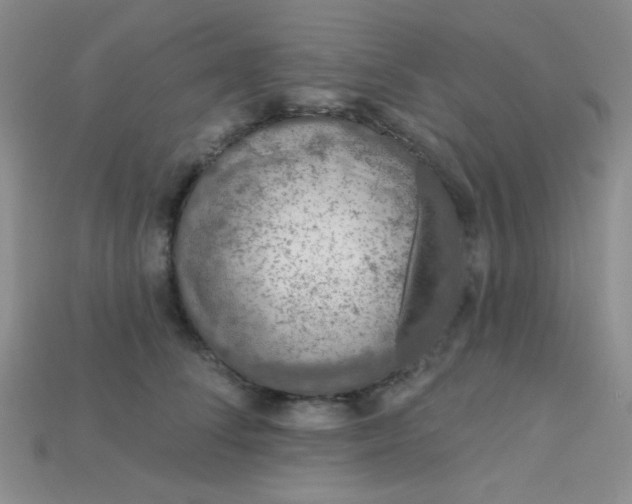 X0000115220708200911121925