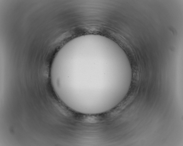 X0000115220710200911121925