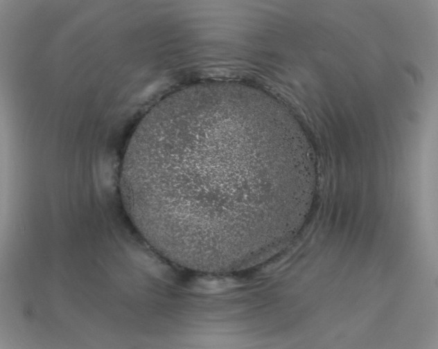 X0000115220712200911121925